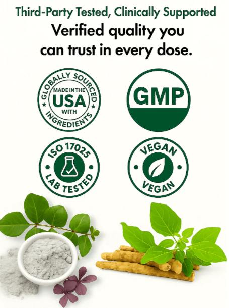 Cloud 9 Daily Restore Certifications