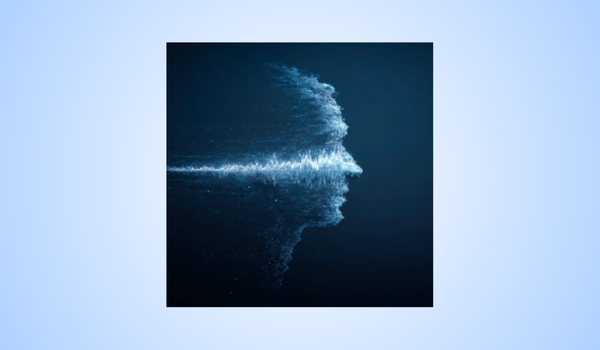 The Edison Wave Reviews