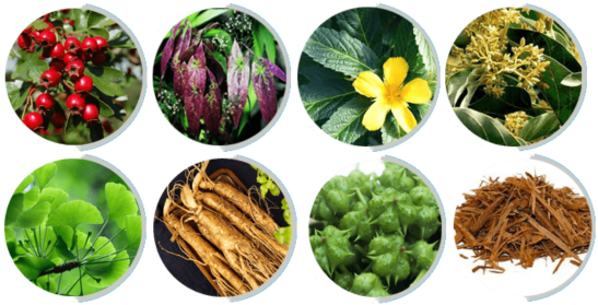 VirilWood Ingredients